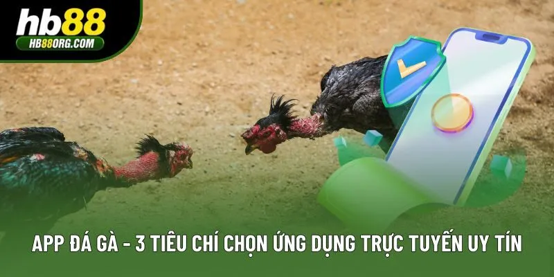 App Đá Gà - 3 Tiêu Chí Chọn Ứng Dụng Trực Tuyến Uy Tín