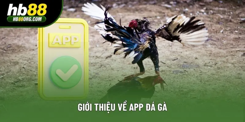Giới thiệu về app đá gà