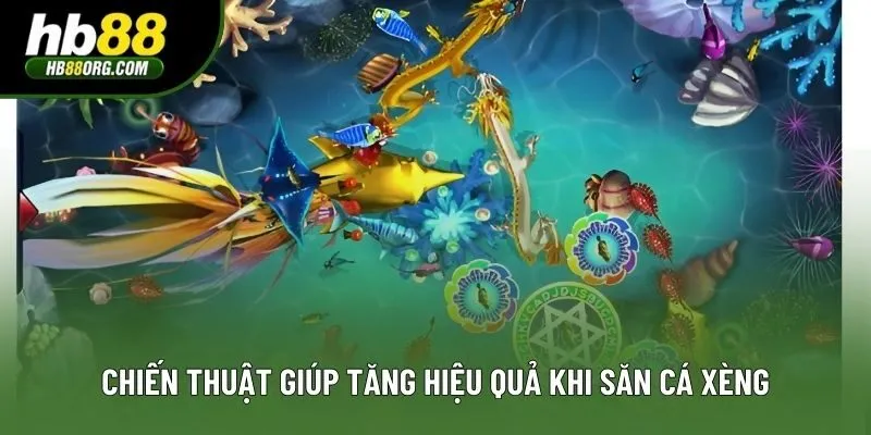 Chiến thuật giúp tăng hiệu quả khi săn cá xèng