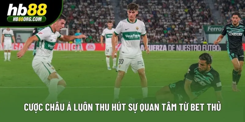 Cược châu Á luôn thu hút sự quan tâm từ bet thủ