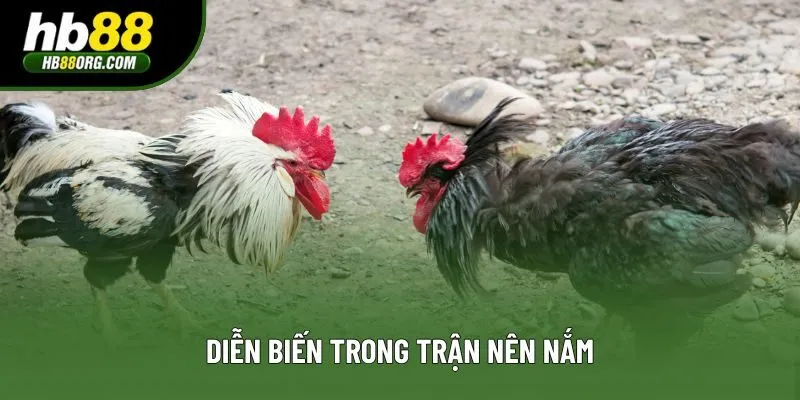 Diễn biến trong trận nên nắm