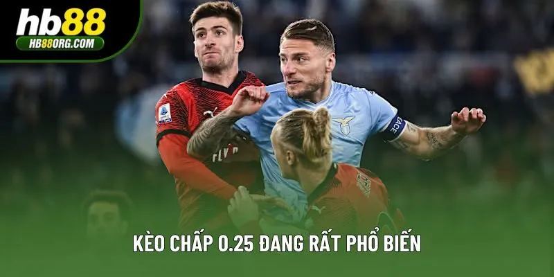 Kèo chấp 0.25 đang rất phổ biến