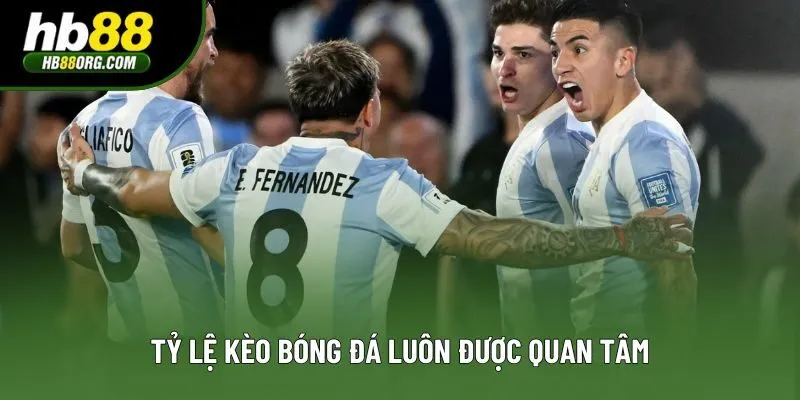 Tỷ lệ kèo bóng đá luôn được quan tâm